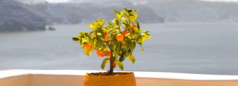 Lifestyle is the interests, opinions, behaviours